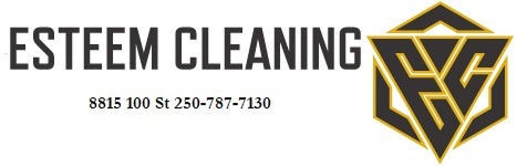Esteem Cleaning letterhead logo
